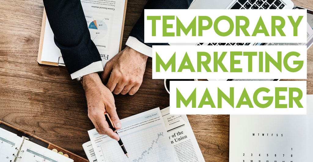 Il Temporary Marketing Manager: strategia e marketing per la tua impresa