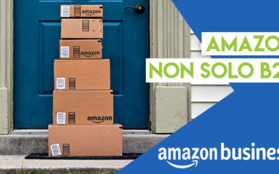 Amazon tra B2C e B2B